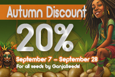 Uncover the magic of Autumn with GanjaSeeds!