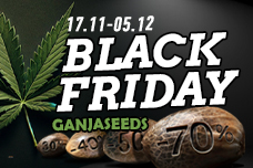 Black Friday with GanjaSeeds is in high bloom!